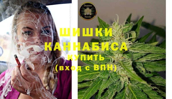 стафф Волоколамск
